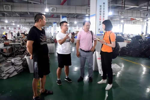 江蘇臺(tái)攝制組聚焦大龍，專題片攝制展現(xiàn)獨(dú)特風(fēng)采